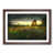 Walnut Framed selected