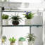 Greenhouse