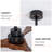Nicola 52'' 3 - Blade Modern Ceiling Fan with Remote Control and Light Kit-1194857035