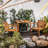 3 Piece Solid Wood Patio Dining Set