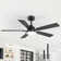 Selvidge 52'' Ceiling Fan with LED Lights and Remote, 6 Speed Quiet Reversible DC Motor, 5 Plywood Blades, 5''/10'' Downrods,Timer