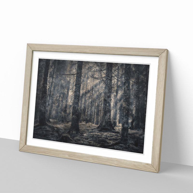 Pine Tree Forest - Picture Frame Graphic Art Print, Oak, 33cm H x 45cm W x 2cm D
