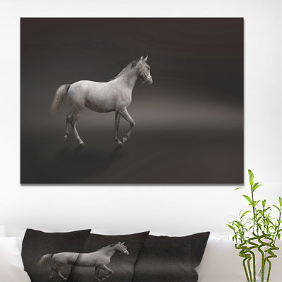 «Gray Horse», impression