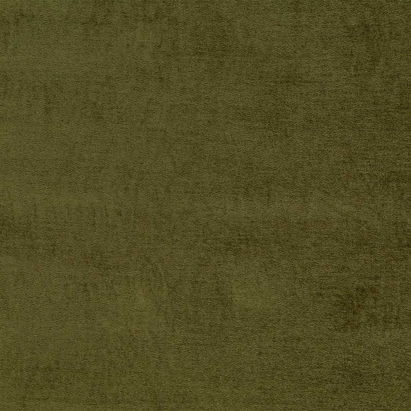 Plush Chenille Fabric, Olive