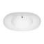 Elise 63" Freestanding Soaking Tub