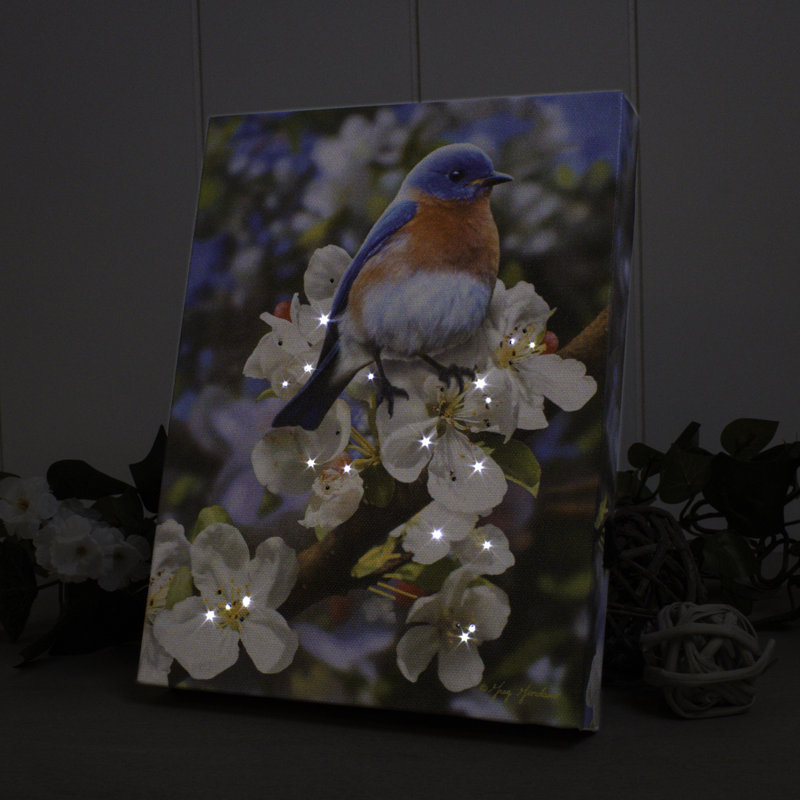 Bluebird 8x6 Mini Lighted Easel Back Canvas