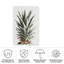 Ananas naturel 02 sur toile-172912403