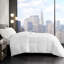Housse de couette simple en duvet synthétique - housse de couette 100% coton, douce et respirante, facile d'entretien-122455599