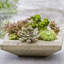 Garden Terrace Planter-13940383