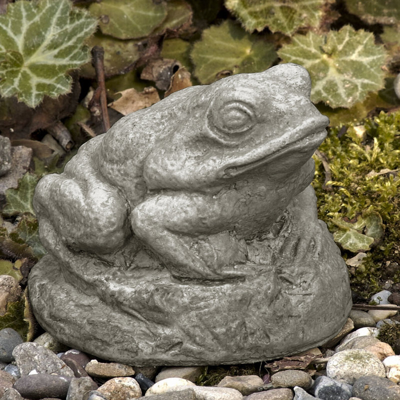 Statue de petite grenouille, Naturel