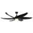 Coronado 55.63'' Ceiling Fan with LED Lights-95320031