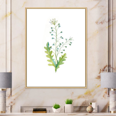 «Vintage Herbs and Wild Flowers II», reproduction sur toile
