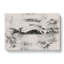 Seagull In Flight Vol.2 - Wrapped Canvas-64085922