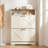 Shoe Storage Cabinet with 2 Flip Drawers