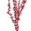 Red Berry Bush
