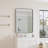 Stainless Steel Rectangle Mirror-144420144-144420146