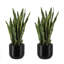 30" Artificial Snake Plants in Black Pots