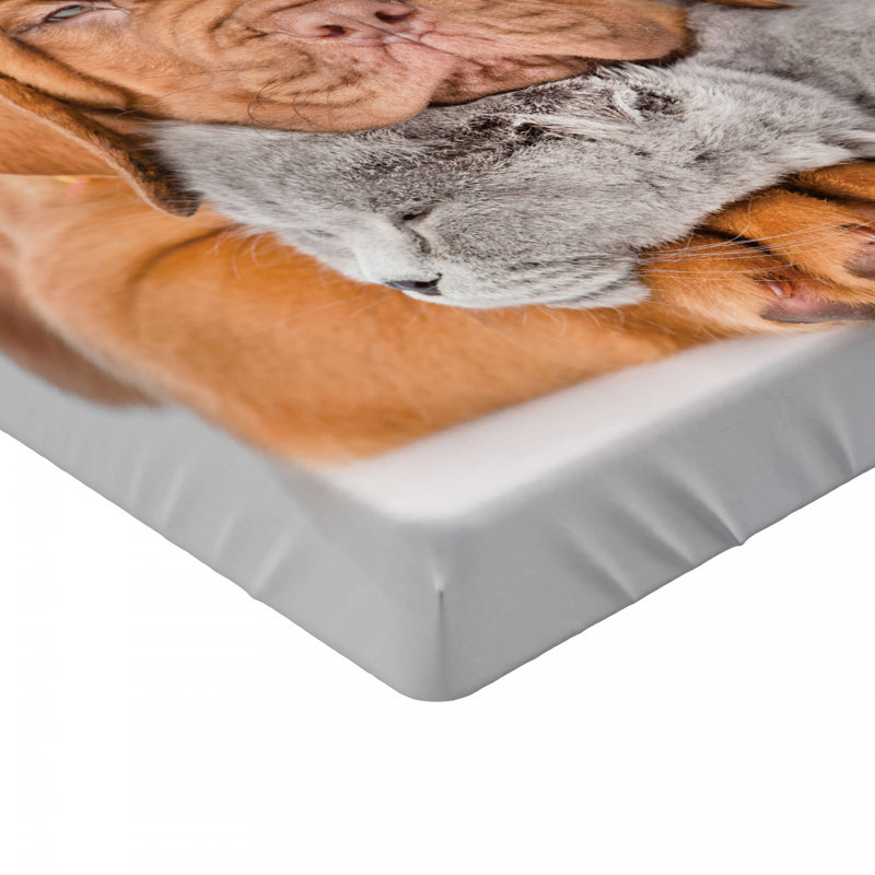 Microfiber Fitted Sheet, Twin XL Fitted Sheet