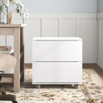 Monee 2 Drawer Storage Drawer