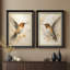 Élégante paire de colibris au toucher doux et naturel - ensemble de 2 reproductions d'art encadrées de qualité supérieure sur papier 26 po x 36 po-53573898