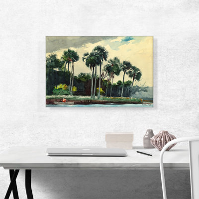 «Red Chemise Homosassa Florida 1904» par Winslow Homer, reproduction d'art sur toile tendue