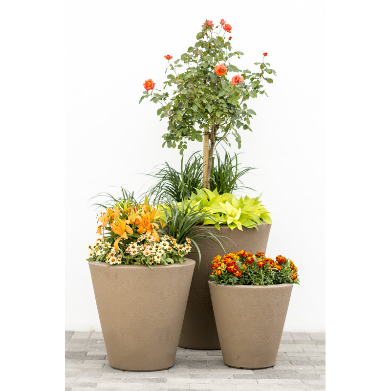 Dot Self Watering Plastic Pot Planter, Mocha, 20" H x 20" W x 20" D