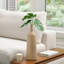  Vase de table Lakista-95418569-98572913