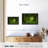 Mossy Green Forest Canvas Print-102354559
