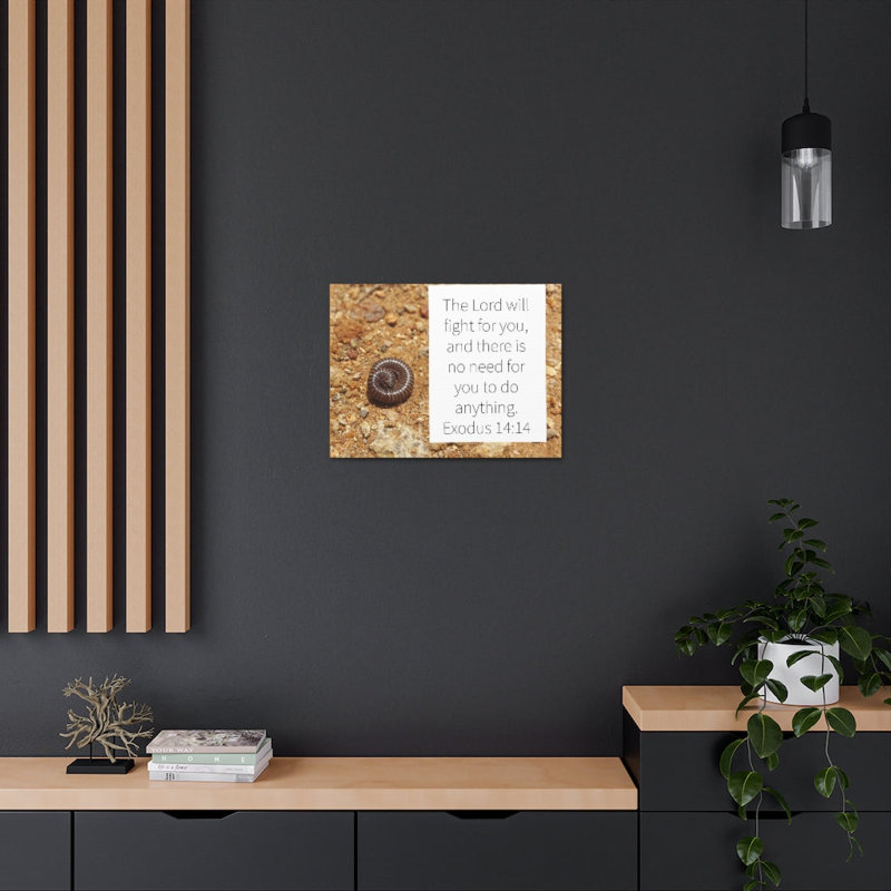 No Frame Print on Canvas, 27.94cm H x 35.56cm W