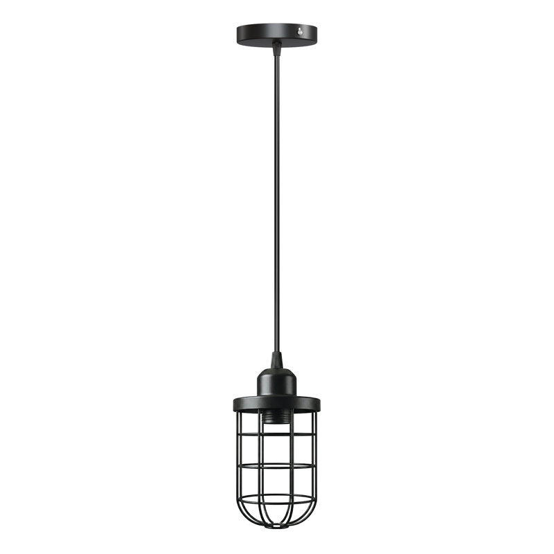 1 - Light Black Caged Pendant, Yes