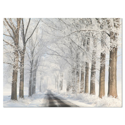 " Road Through Frosted Forest "