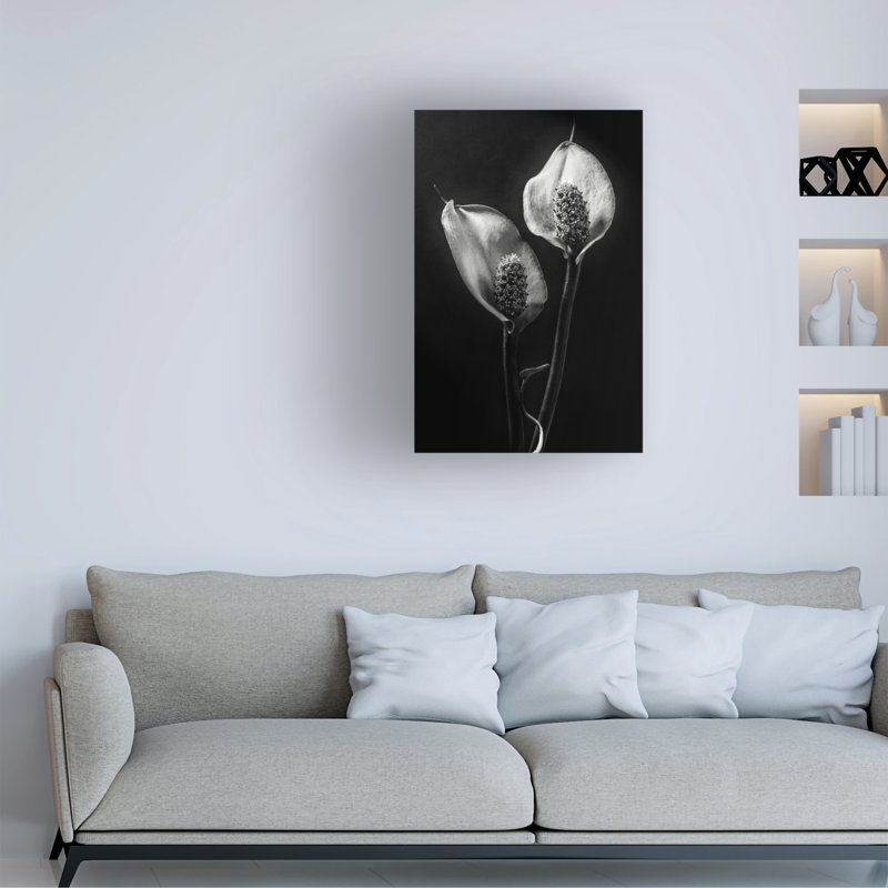 Stephen Clough  Spathiphyllum Canvas Art, L 30 po x H 47 po