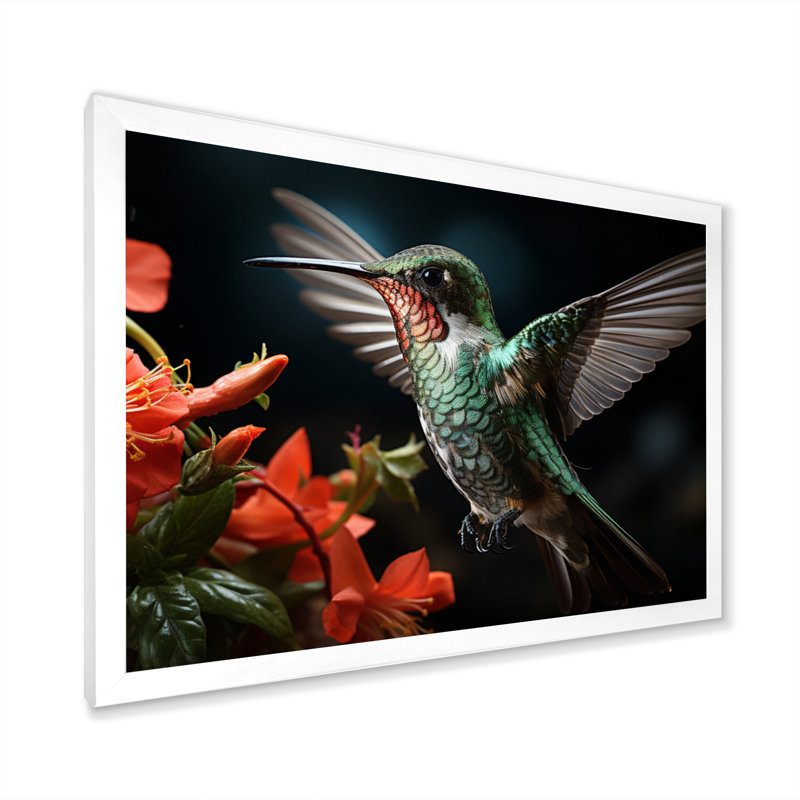 Teal Coral Hummingbird Portrait - Animals Wall Decor, Cadre photo blanc, H 34 po x l 44 po x P 1,5 po