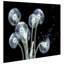 «Dancing Dandelions», impression sur verre