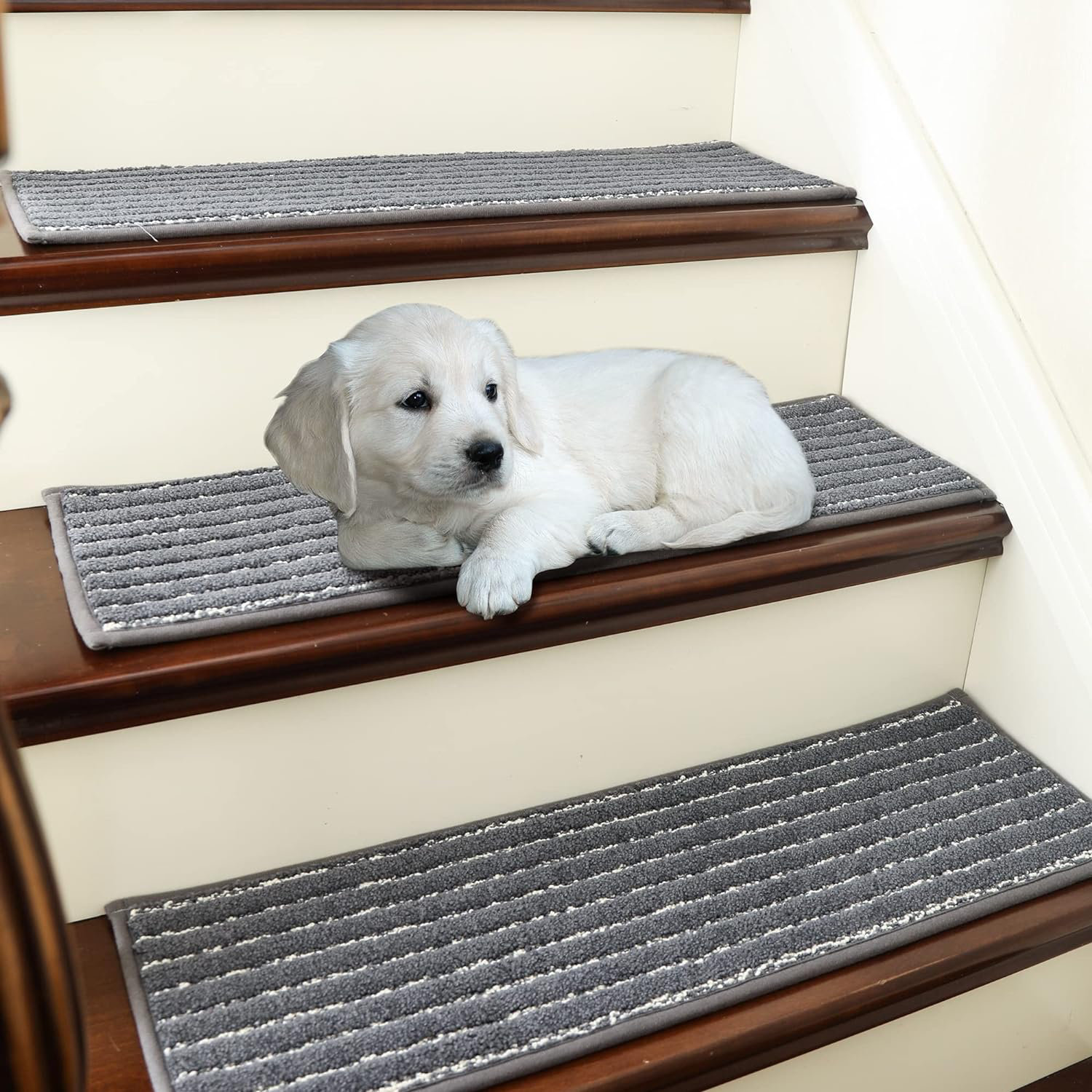 Latitude Run® Greison Gray Stair Tread | Wayfair