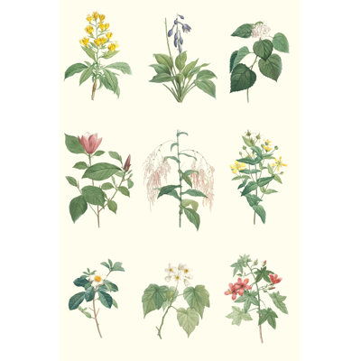 Tableau botanique doux