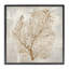 Giclée encadrée botanique Beige Tides, design par Hannah Dawson-1708651096-1708651110