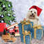 Ensemble de 3 boîtes-cadeaux de Noël illuminées à DEL pour décoration d'extérieur-131111724
