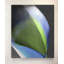 Light in the Green Framed Print