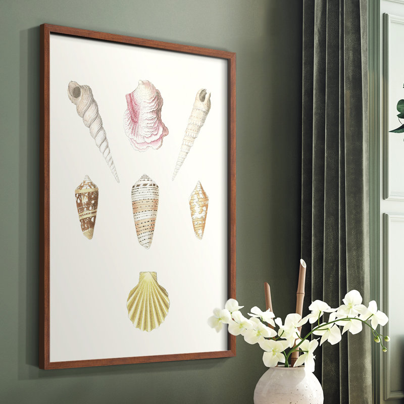 Pastel Knorr Shells I, reproduction encadrée - bois massif, Brun, H 10 po x l 8 po