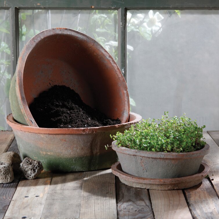 Terra Cotta Clay Bulb Pan Planter - 12 inch