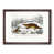 Walnut Framed selected