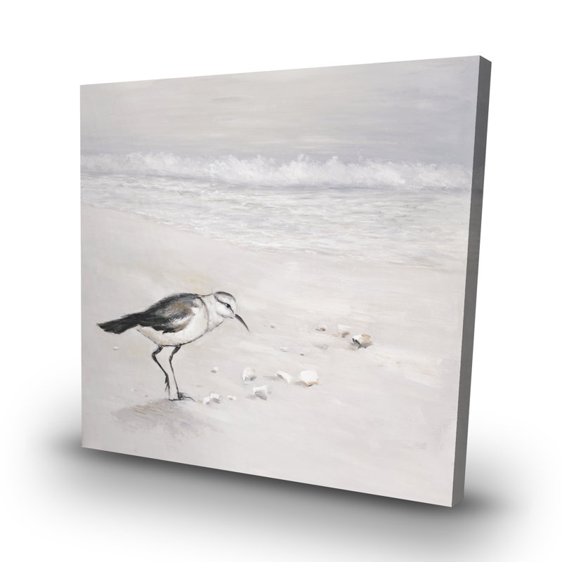 Semipalmated sandpiper - 32"x32" art on canvas