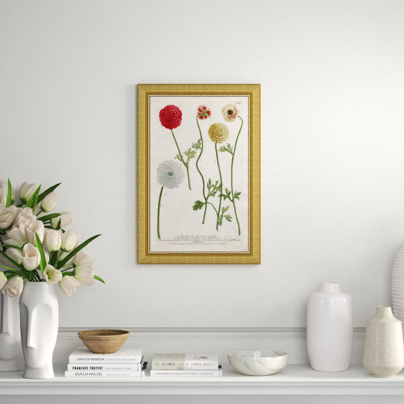 Weiman Ranunculous Giclee Print