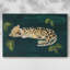 Toile tendue Lethargic Leopard II-Gallery-175390795