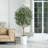 Adcock Artificial Olive Tree with Decorative Pot, UV Resistant Faux Olive Tree with Natural Trunk-1799478850-1799478851