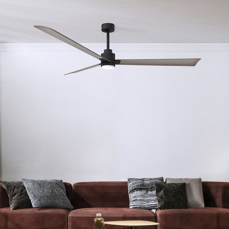 Ventilateur de plafond Alessandra, Ton bois de frêne gris, Noir mat, 72"