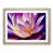 Oak
