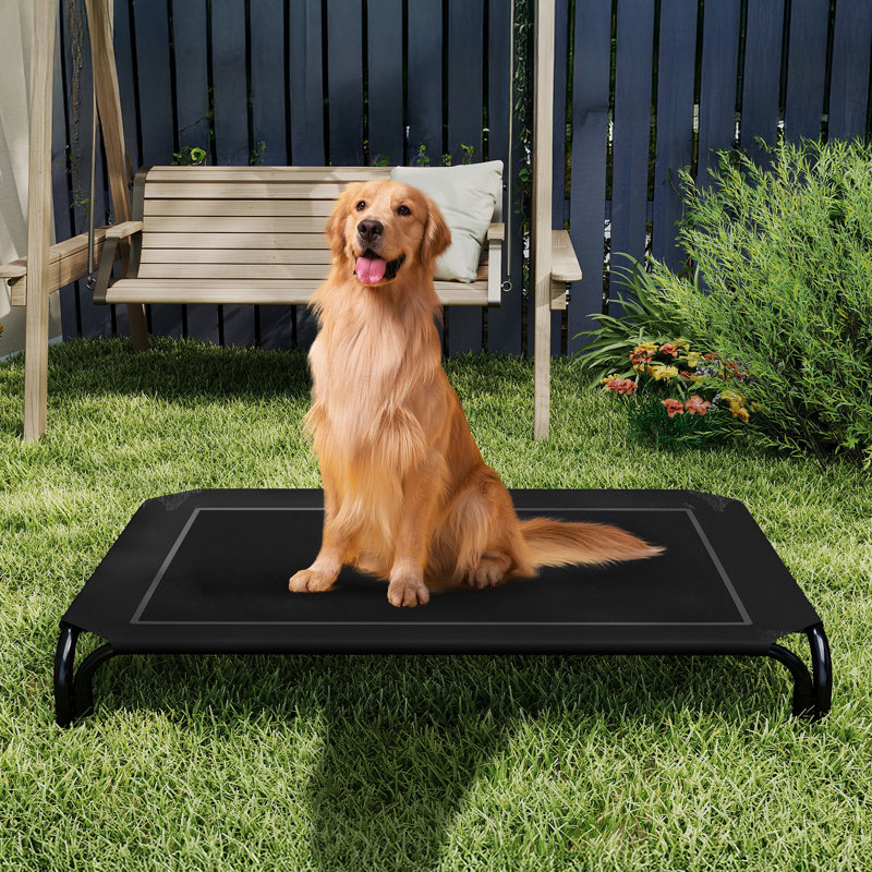 Lit pour chien surélevé intérieur / extérieur avec pieds antidérapants, TG, Noir