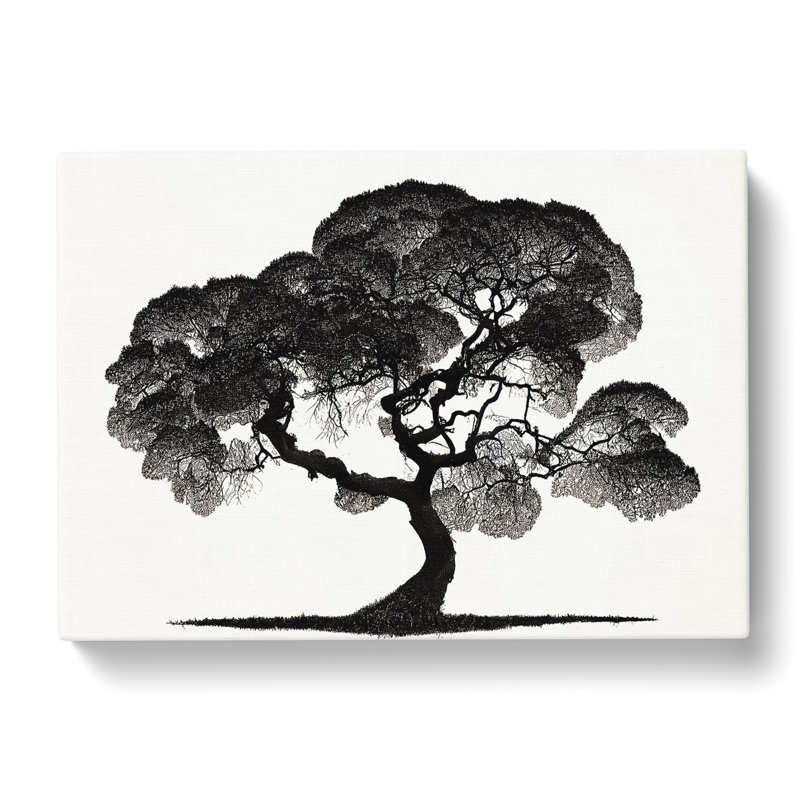 Entrancing Tree - Wrapped Canvas Print, 40cm H x 60cm W x 3cm D